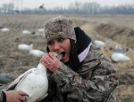snow goose hunting Missouri