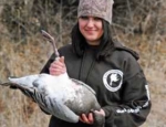 snow goose hunting Missouri