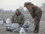 snow goose hunting guide