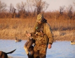 Missouri snow goose hunting guide