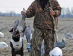 snow goose hunting guide