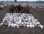 guided goose hunts