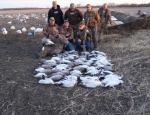 snow goose hunting Missouri