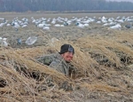 snow goose hunting Missouri