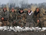 spring snow goose hunting