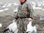 Missouri snow goose hunting guide