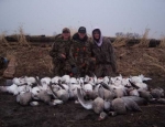 spring snow goose hunting