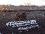 snow goose hunting videos