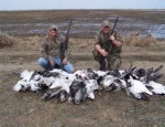 spring snow goose hunting
