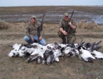 spring snow goose hunting