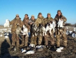 snow goose hunting Missouri