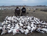 snow goose hunting Missouri