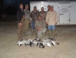 spring snow goose hunting