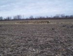 goose hunting Missouri