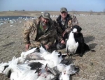 spring snow goose hunts