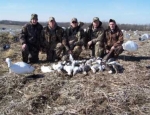 snow goose hunting Missouri