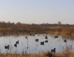 duck hunting club in Missouri