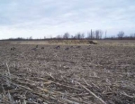 goose hunting Missouri