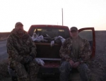 guided snow goose hunts