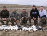 guided snow goose hunts