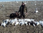 snow goose hunting Missouri