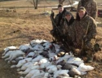 guided goose hunt snow geese