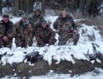 spring snow goose hunting