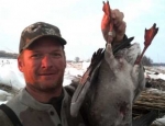 Missouri snow goose hunting band