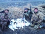 snow goose hunting Missouri