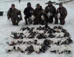 guided snow goose hunt