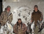 snow goose hunting guide