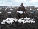 Missouri snow goose hunting guide