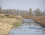 Missouri waterfowl hunting
