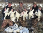 spring snow goose hunting