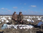 spring snow goose hunting