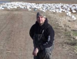 Missouri snow goose hunting