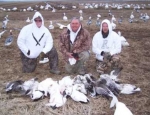 spring snow goose hunting