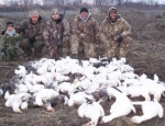 spring snow goose hunts