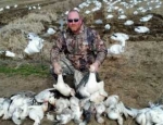 guided snow goose hunts