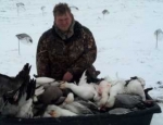 snow goose hunting Missouri