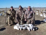 spring snow goose hunting