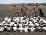 spring snow goose hunting