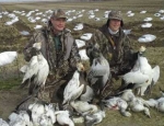 spring snow goose hunts