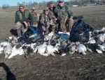 spring snow goose hunts