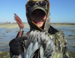 spring snow goose hunting