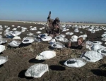 Missouri goose hunting