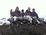 specklebelly goose hunting Missouri