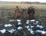 spring snow goose hunt