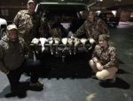 guided goose hunt