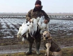 Missouri snow goose hunting